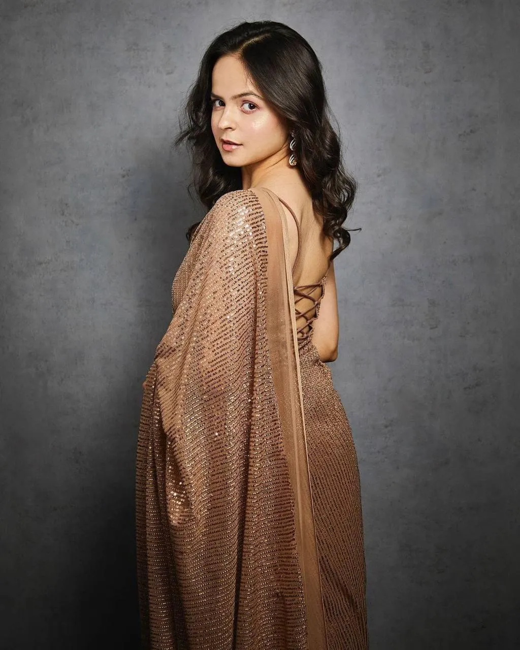 Brown Georgette Premium Sequins Saree