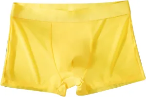 Men's Low Rise Briefs Stretch Solid Seamless Classic Underwear Athletic Ice Silk Panties Daily Wear Soft Underpants
