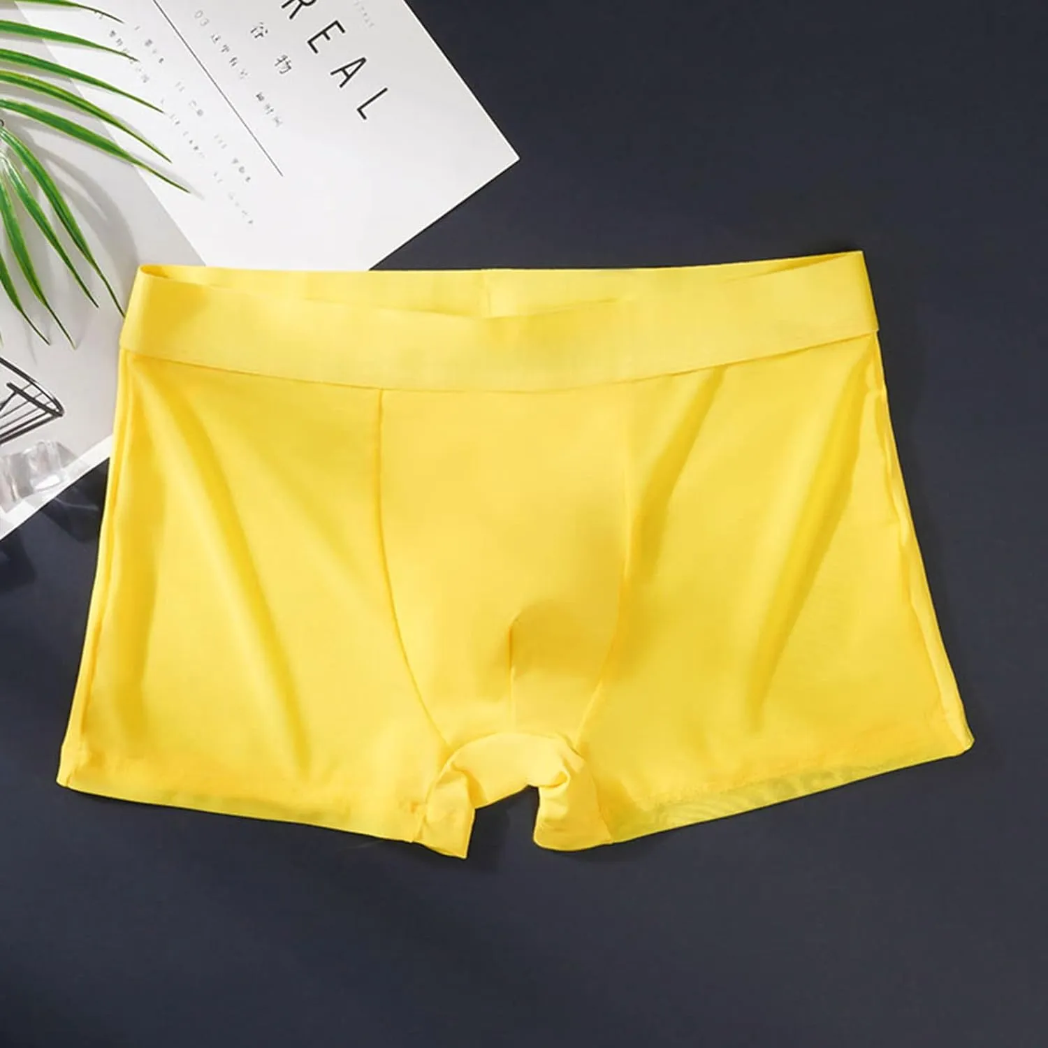 Men's Low Rise Briefs Stretch Solid Seamless Classic Underwear Athletic Ice Silk Panties Daily Wear Soft Underpants